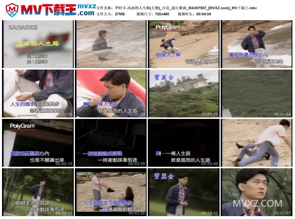 罗时丰-风雨的人生路(人物)_台语_流行歌曲_MA307507